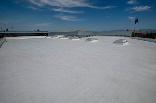 Best Skylights  in Forney, TX